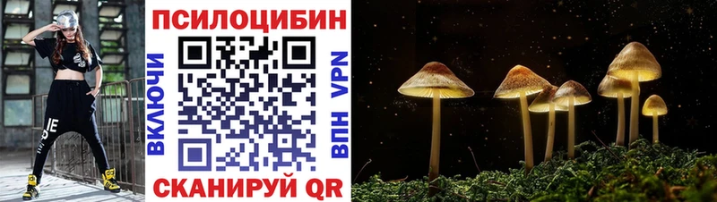 Галлюциногенные грибы Psilocybe  где купить наркотик  Ялта 